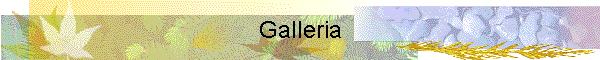 Galleria