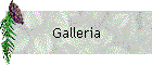 Galleria