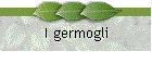 I germogli