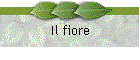 Il fiore