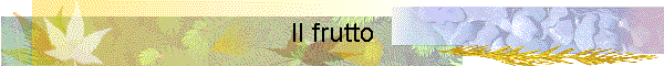 Il frutto