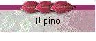 Il pino