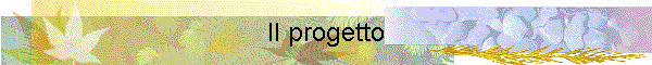Il progetto