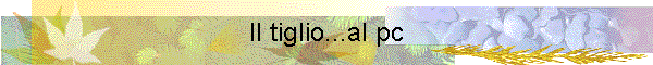 Il tiglio...al pc