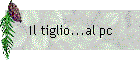Il tiglio...al pc