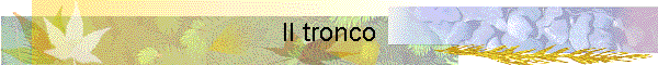 Il tronco