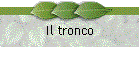 Il tronco