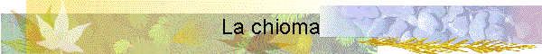 La chioma