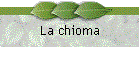 La chioma