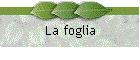 La foglia