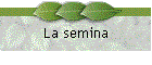 La semina