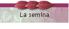 La semina