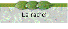 Le radici