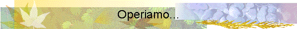 Operiamo...