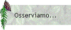 Osserviamo...