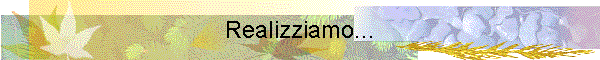 Realizziamo...